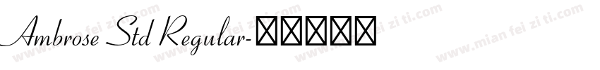 Ambrose Std Regular字体转换